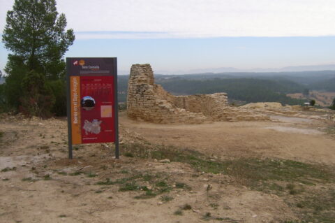 Torre Cremada, Valdeltormo. Foto: Consorcio Patrimonio Ibérico de Aragón