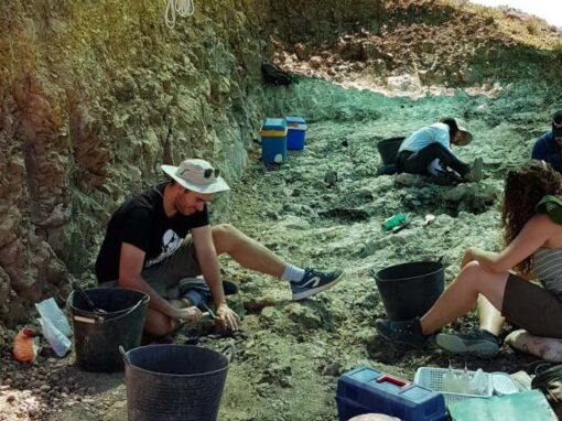 Campaña de excavación en el yacimiento Puente Minero de Teruel. Foto: Fundación Conjunto Paleontológico de Teruel-Dinópolis