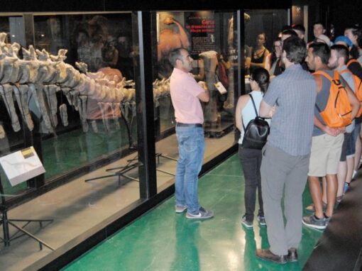 Edición anterior del Curso sobre Paleontología y Desarrollo durante la visita al Museo Paleontológico de Dinopolis. Foto: Fundación Conjunto Paleontológico de Teruel-Dinópolis