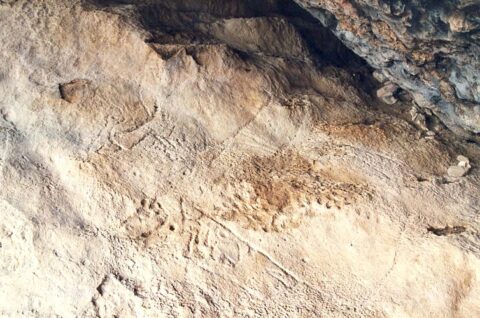 Grabado rupestre de la cueva de la Fuente del Trucho