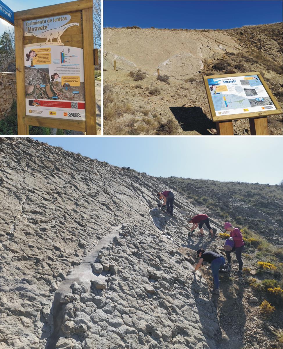 Adecuación museográfica y trabajos de la Fundación Dinópolis en un yacimiento de icnitas en Miravete de la Sierra (Teruel). Foto: Fundación Dinópolis