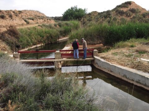 Partidero de Almisén, Pedrola, donde se dividen las Acequias de Pedrola y el Cascajo. Foto: Hermandad de la Acequia de Pedrola y del Cascajo
